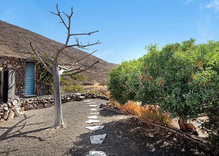 Chafariz * Tabayesco