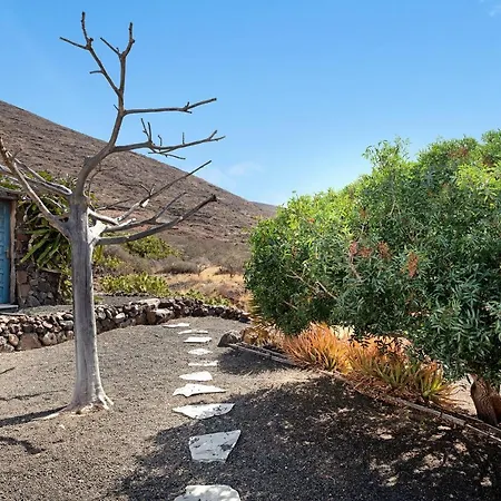 Chafariz * Tabayesco